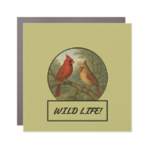 深紅色ダークカーキカー/トラックマグネット