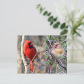 深紅色自然はがき ポストカード (スタンド正面)