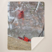 深紅色 シェルパブランケット (正面)