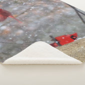 深紅色 シェルパブランケット (3/4)