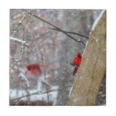 深紅色 タイル (正面)