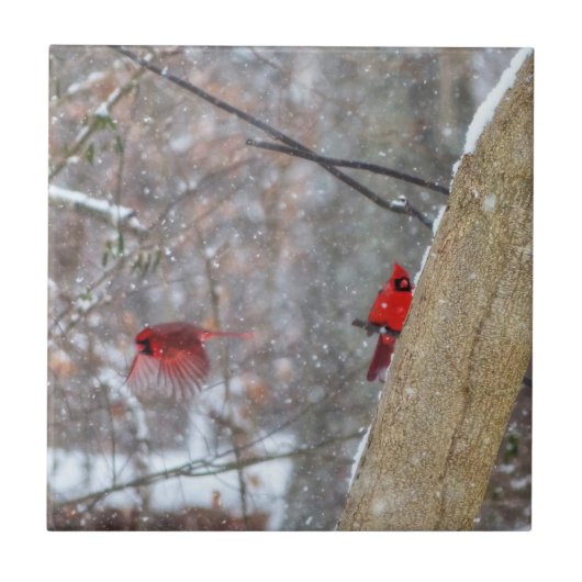 深紅色 タイル (正面)