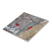 深紅色 タイル (側面)