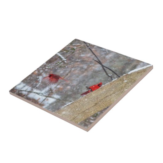 深紅色 タイル (側面)