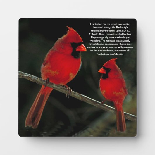 深紅色 フォトプラーク (正面)