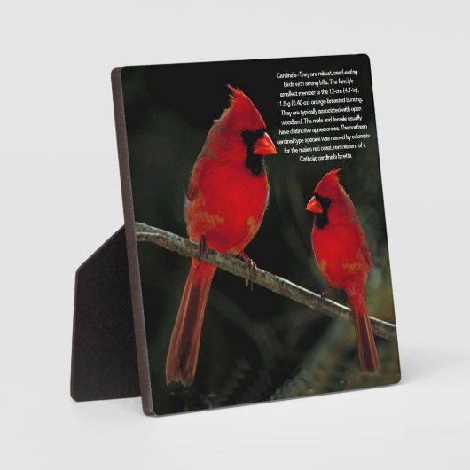 深紅色 フォトプラーク (正面)