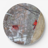 深紅色 ペーパープレート (正面)