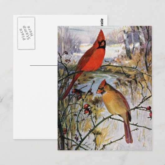 深紅色 ポストカード (正面/裏面)