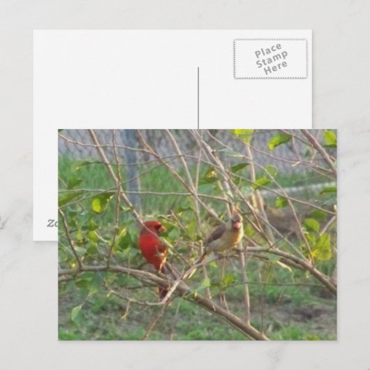 深紅色 ポストカード (正面/裏面)