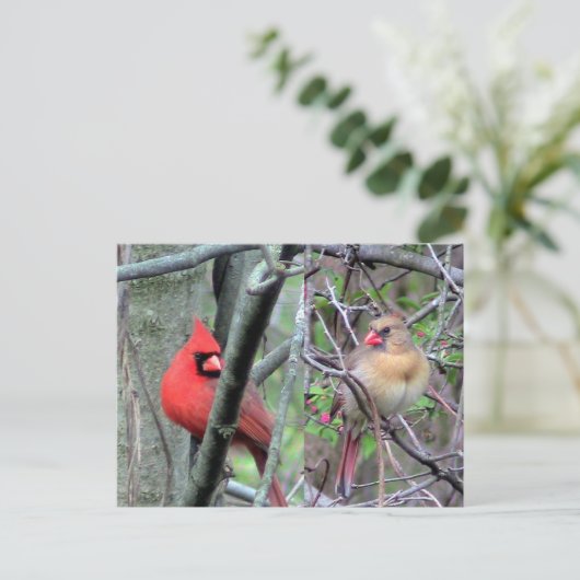 深紅色(春) ポストカード (スタンド正面)