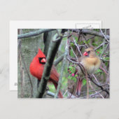 深紅色(春) ポストカード (正面/裏面)