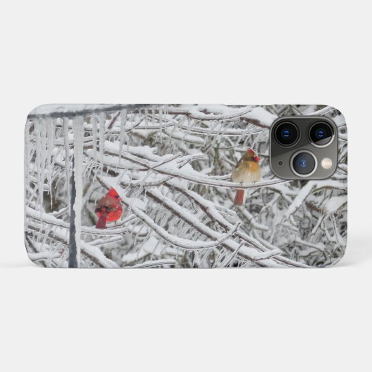深紅色 Case-Mate iPhoneケース (裏面(横))