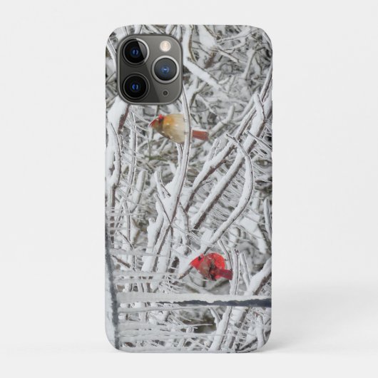 深紅色 Case-Mate iPhoneケース (裏)