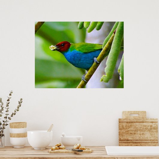 混カラフル合 ポスター (キッチン)