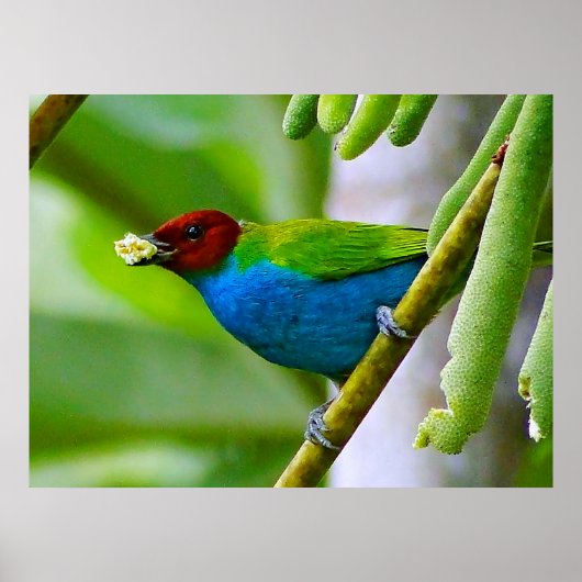 混カラフル合 ポスター (正面)