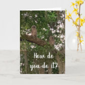 混乱したフクロウは40日に「どうやってやるか」を知らない カード (黄色い花)