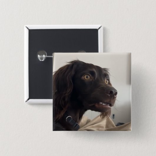 混乱した犬のミームピンボタン 缶バッジ (正面&裏面)