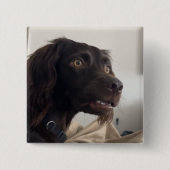 混乱した犬のミームピンボタン 缶バッジ (正面)