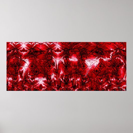 混乱した装飾 ポスター (正面)