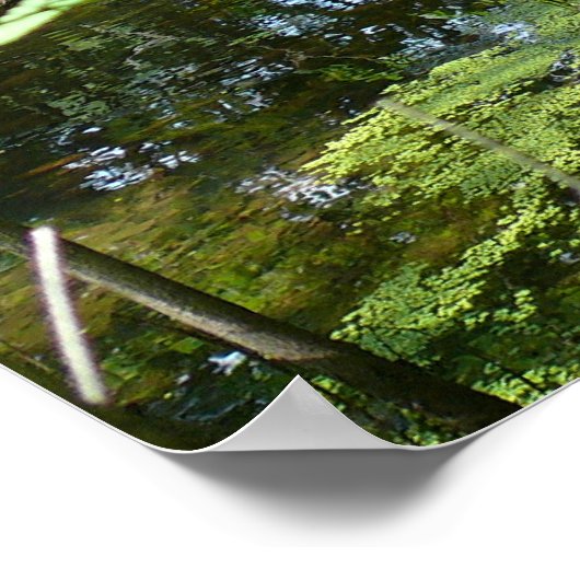 混乱州 ポスター (角)