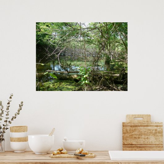 混乱州 ポスター (キッチン)