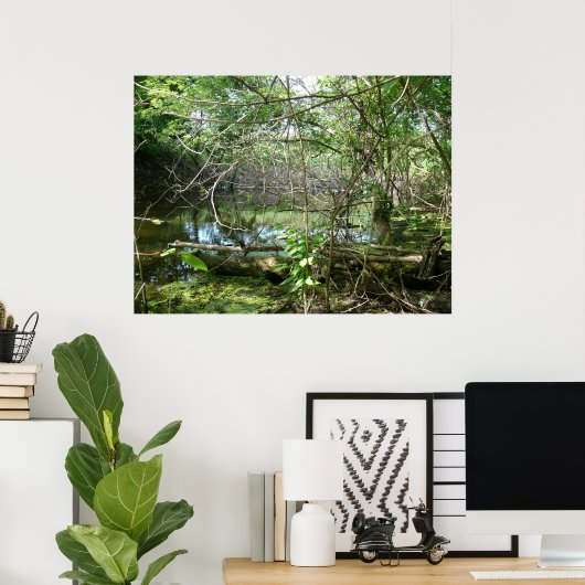 混乱州 ポスター (ホームオフィス)