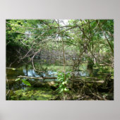 混乱州 ポスター (正面)