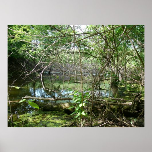 混乱州 ポスター (正面)