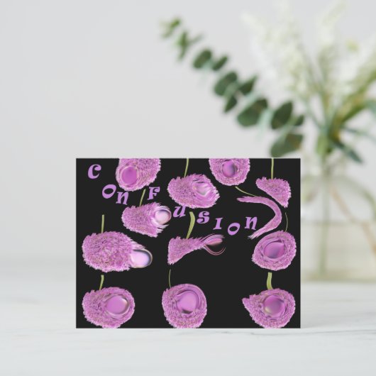 混乱 ポストカード (スタンド正面)