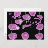 混乱 ポストカード (正面/裏面)