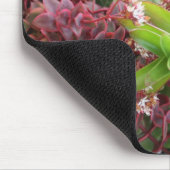 混合されたsucculentsのmousepad マウスパッド (コーナー)