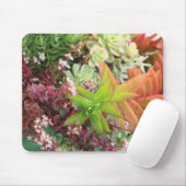 混合されたsucculentsのmousepad マウスパッド (マウス)