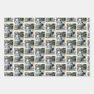 混合セット ラッピングペーパーシート