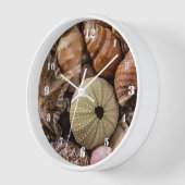 混成貝殻 壁時計 (傾斜)