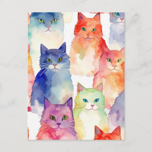 混沌とした猫 ポストカード (正面)