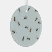 混沌とした赤いアリのパタスタイリッシューン ガラスオーナメント (正面右)