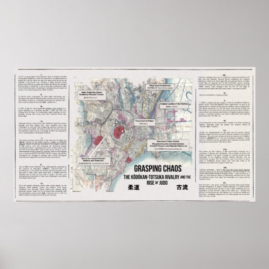 混沌を掴む柔道のポスター ポスター (正面)