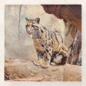 混濁したヒョウ写真自然野生動物 ガラスコースター (正面)