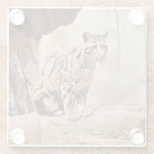 混濁したヒョウ写真自然野生動物 ガラスコースター (裏面)