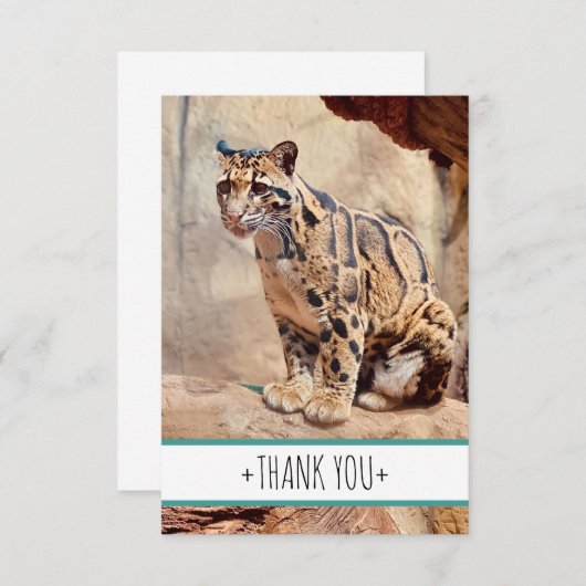 混濁したヒョウ写真自然野生動物 サンキューカード (正面/裏面)