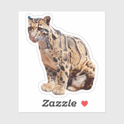 混濁したヒョウ写真自然野生動物 シール (シート)