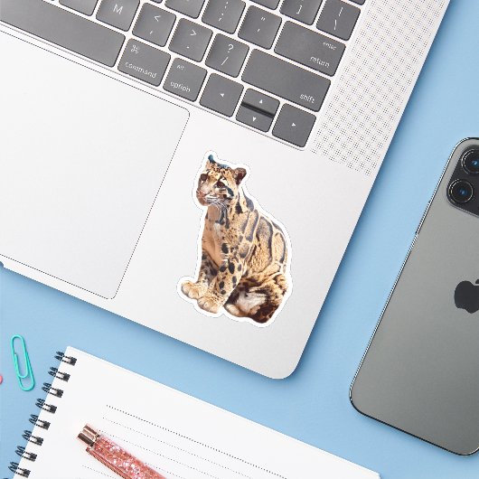 混濁したヒョウ写真自然野生動物 シール (ノートパソコンとiPhone)