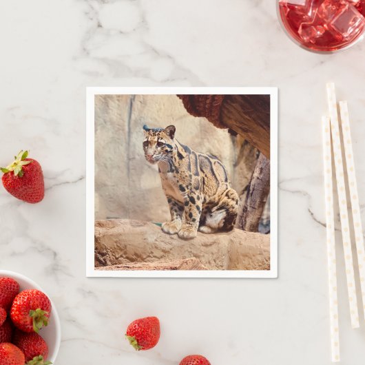 混濁したヒョウ写真自然野生動物 スタンダードカクテルナプキン (インサイチュ)