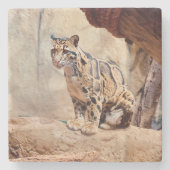 混濁したヒョウ写真自然野生動物 ストーンコースター (正面)