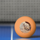 混濁したヒョウ写真自然野生動物 卓球ボール (ネット)