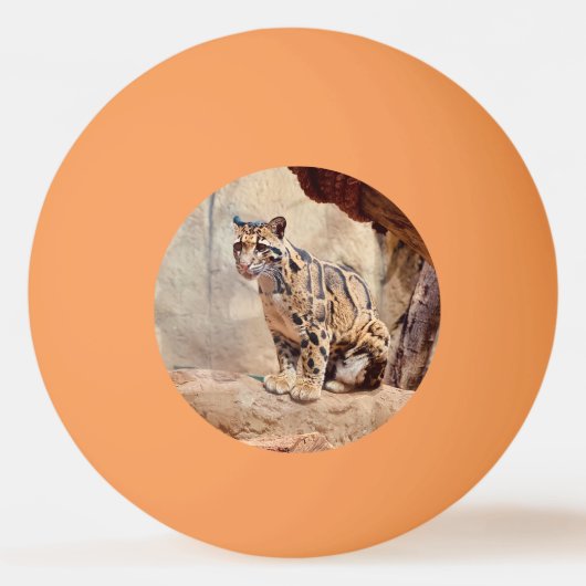 混濁したヒョウ写真自然野生動物 卓球ボール (正面)