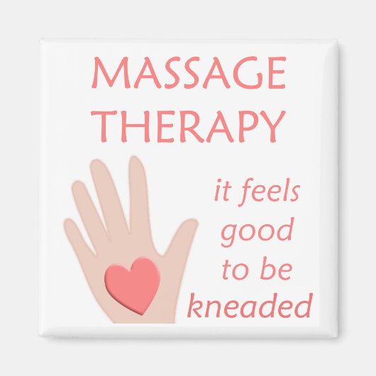 混練磁石 マグネット (正面)