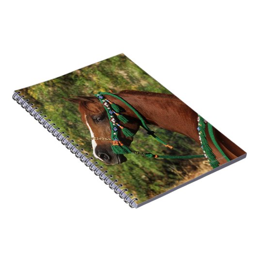 添え金が付いているアラビアの馬のHeadshot ノートブック (右側)