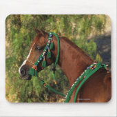 添え金が付いているアラビアの馬のHeadshot マウスパッド (正面)