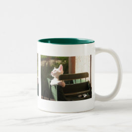 清の顔が多い ツートーンマグカップ